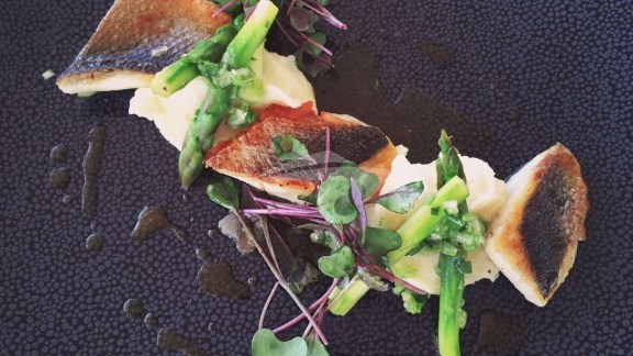 Image of OPAL yacht #22