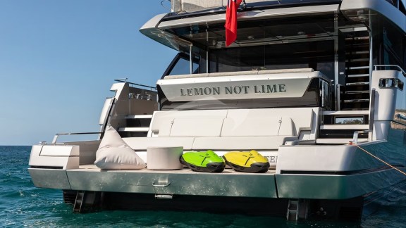 Swim Platform and Water Toys