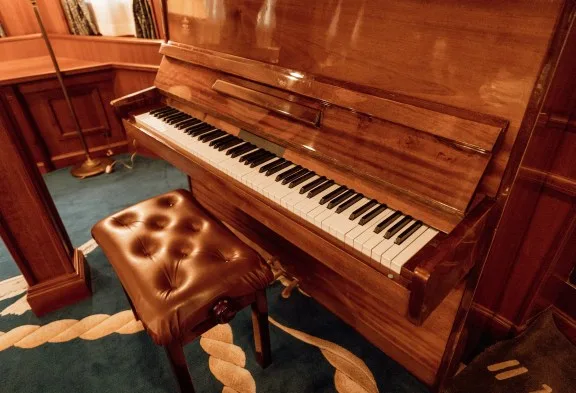 SEAGULL III Piano