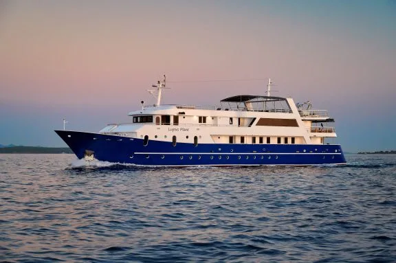 Lupus Mare Superyacht