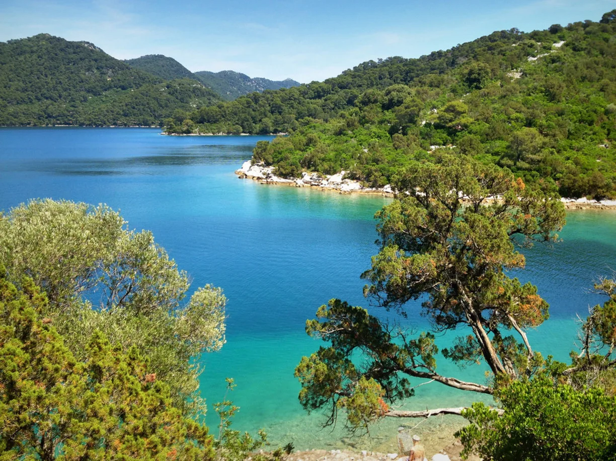 Mljet