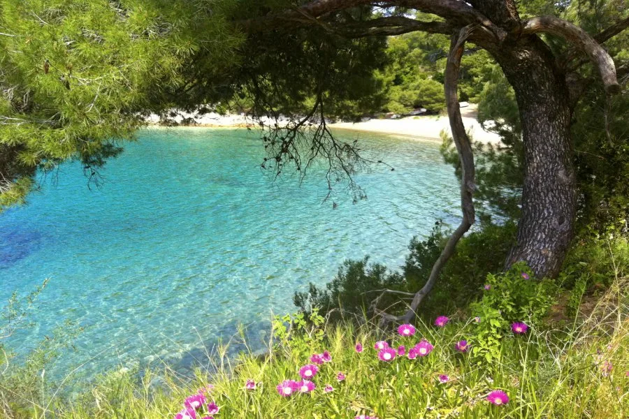 mljet3