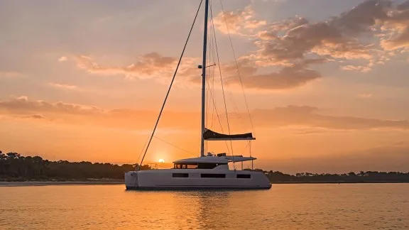 Nauti Cat