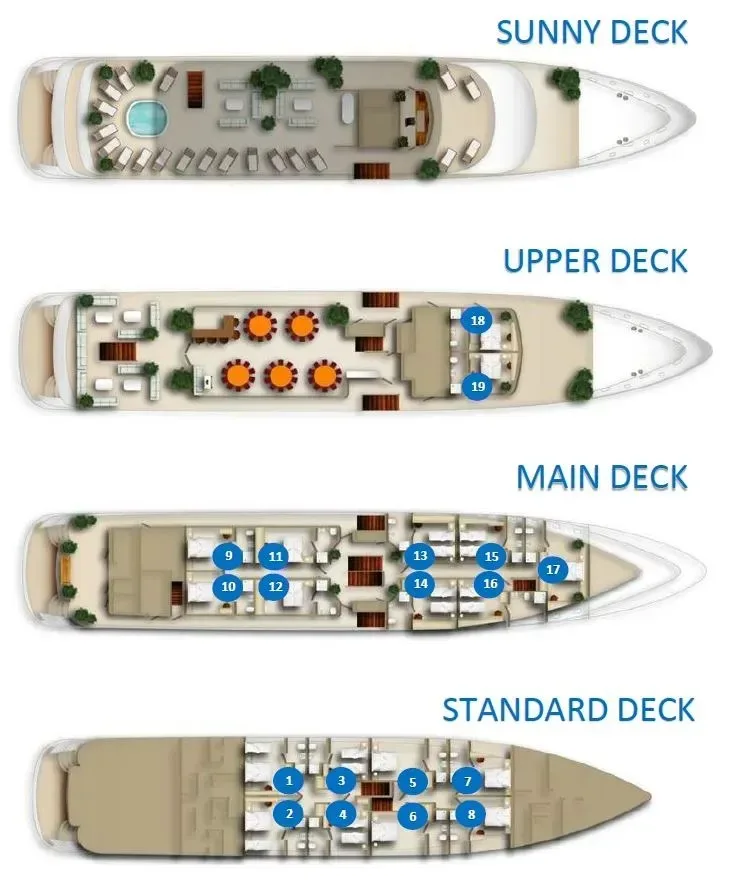 Layout of NERA EXCELLENCE