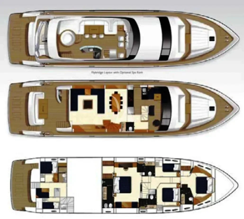Layout of INSIEME