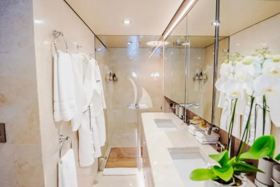 DREAM master bathroom view