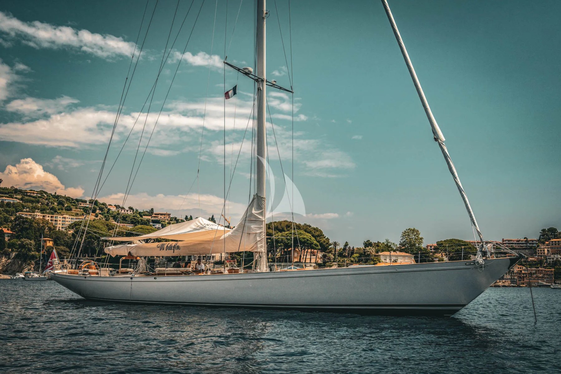 Main image of WHITEFIN yacht