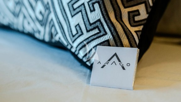 Arago Pillow