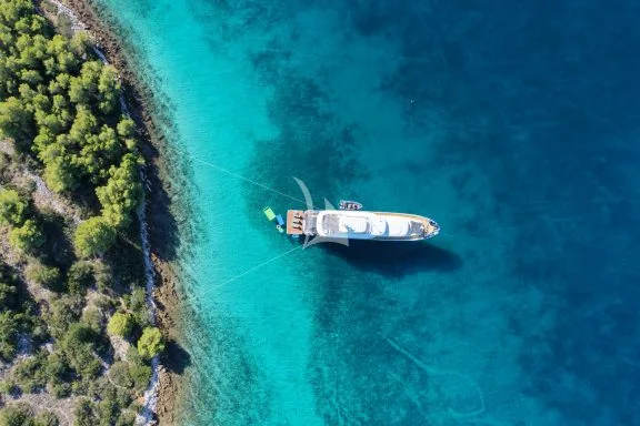DREAM anchor view from above