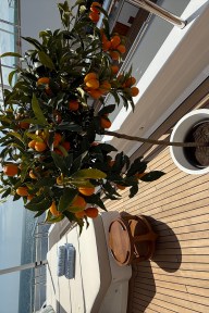 Real Yacht Image from Review