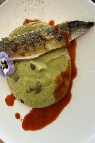 Real Yacht Image from Review