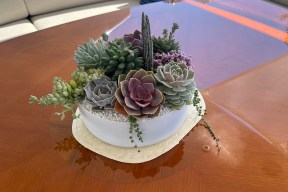 Real Yacht Image from Review