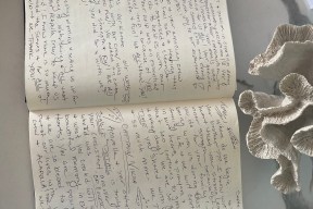 Real Yacht Image from Review