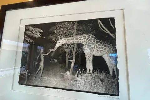 Klara Jakobsen's photo from the onboard visit