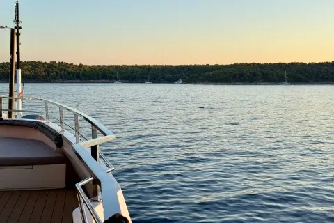 Klara Jakobsen's photo from the onboard visit