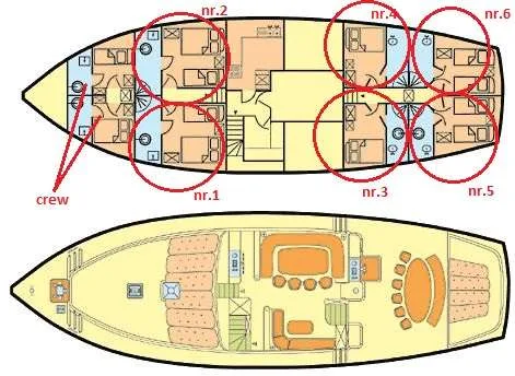 Layout of Morning Star