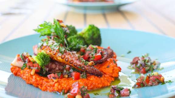 Image of HONEYBIRD yacht #19