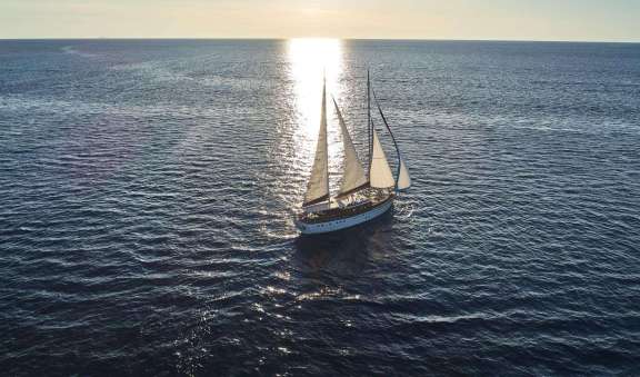 Image of Morning Star yacht #18