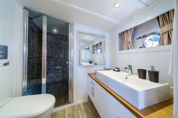 Master Stateroom Bathroom