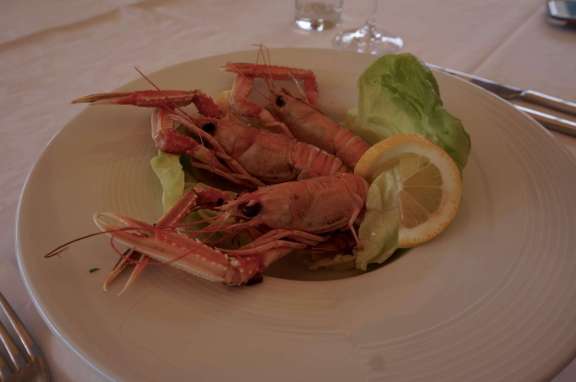 Image of Malena yacht #17