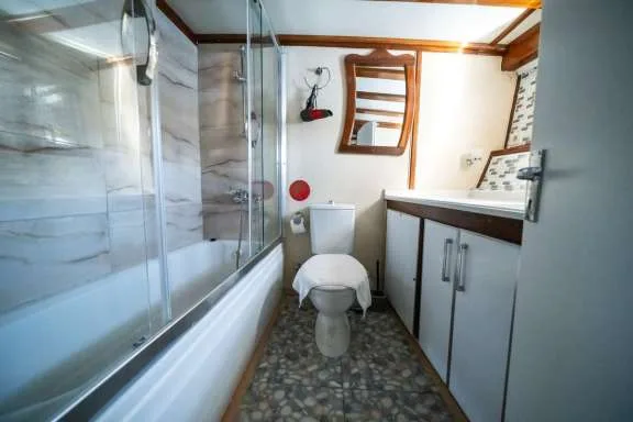 Image of WHITE SWAN yacht #11