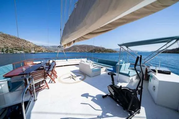 Image of WHITE SWAN yacht #15