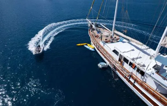 Image of WHITE SWAN yacht #18