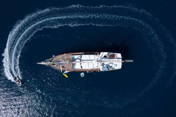 Image of WHITE SWAN yacht #19