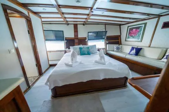 Image of WHITE SWAN yacht #6