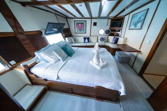 Image of WHITE SWAN yacht #8