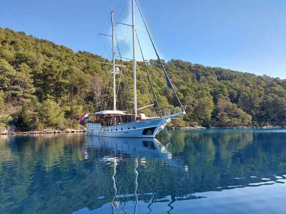 Image of Dalmatino yacht #10