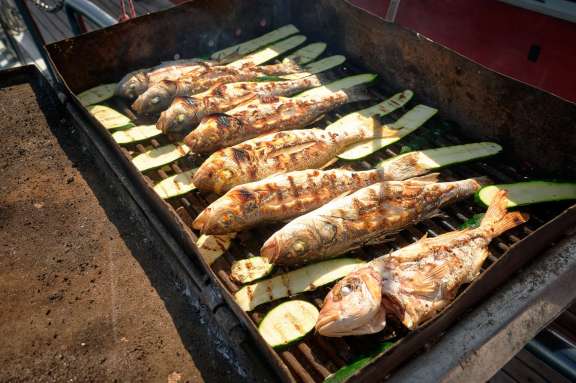 Image of SOLE yacht #17