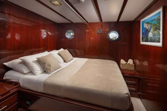 Image of Phoenix Bronze yacht #18