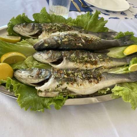 Food onboard North Star # 5