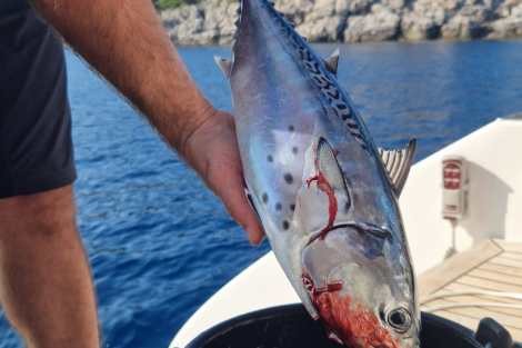 Review img # 1 of the yacht SWEET DREAMS