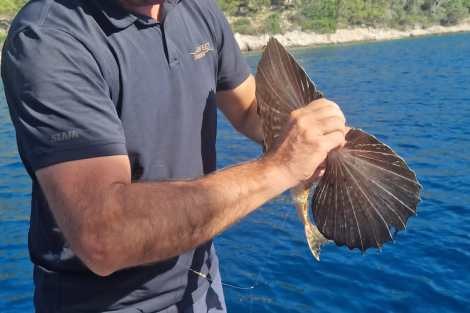 Review img # 2 of the yacht SWEET DREAMS