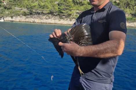 Review img # 3 of the yacht SWEET DREAMS